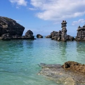 Meet your Posher, Teri